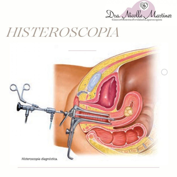 Slider image (4) Dr. Nicolle Martinez